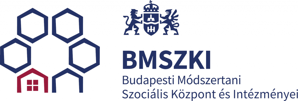 IT BMSZKI